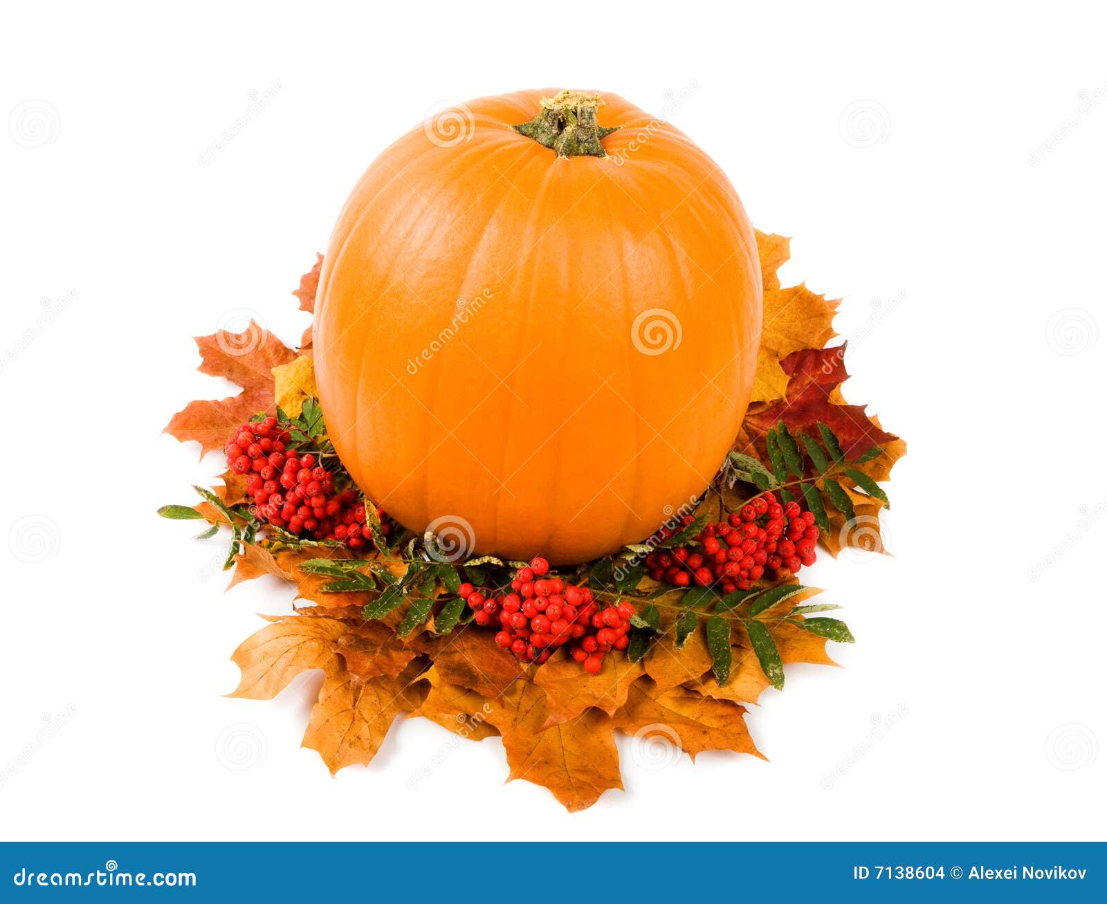 Fall harvest decoration stock photo. Image of garden, festival - 7138604