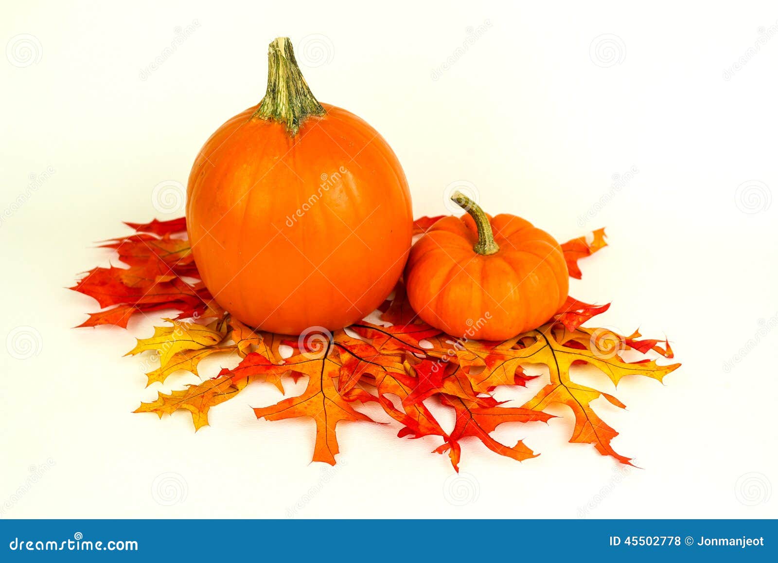 Fall Harvest and Mini Pumkins Stock Photo - Image of candle, family ...