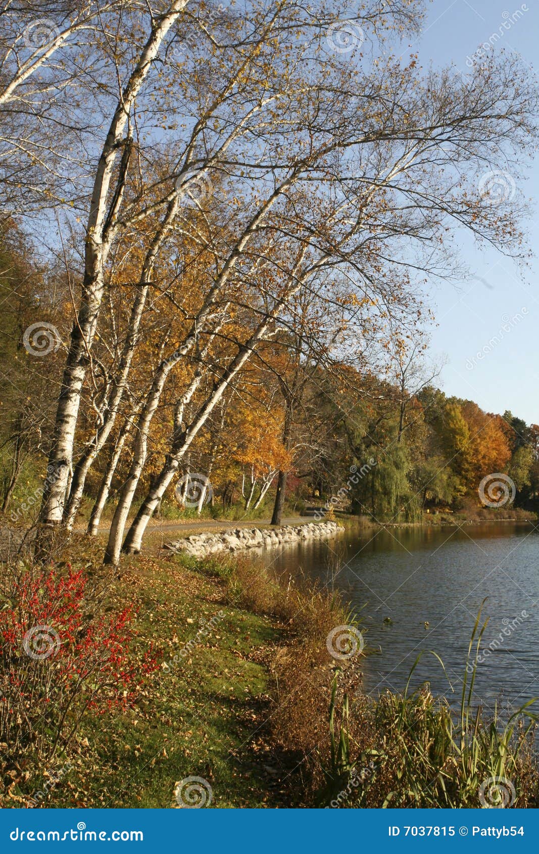 Fall At Hidden Lake Gardens Stock Image Image Of Fall