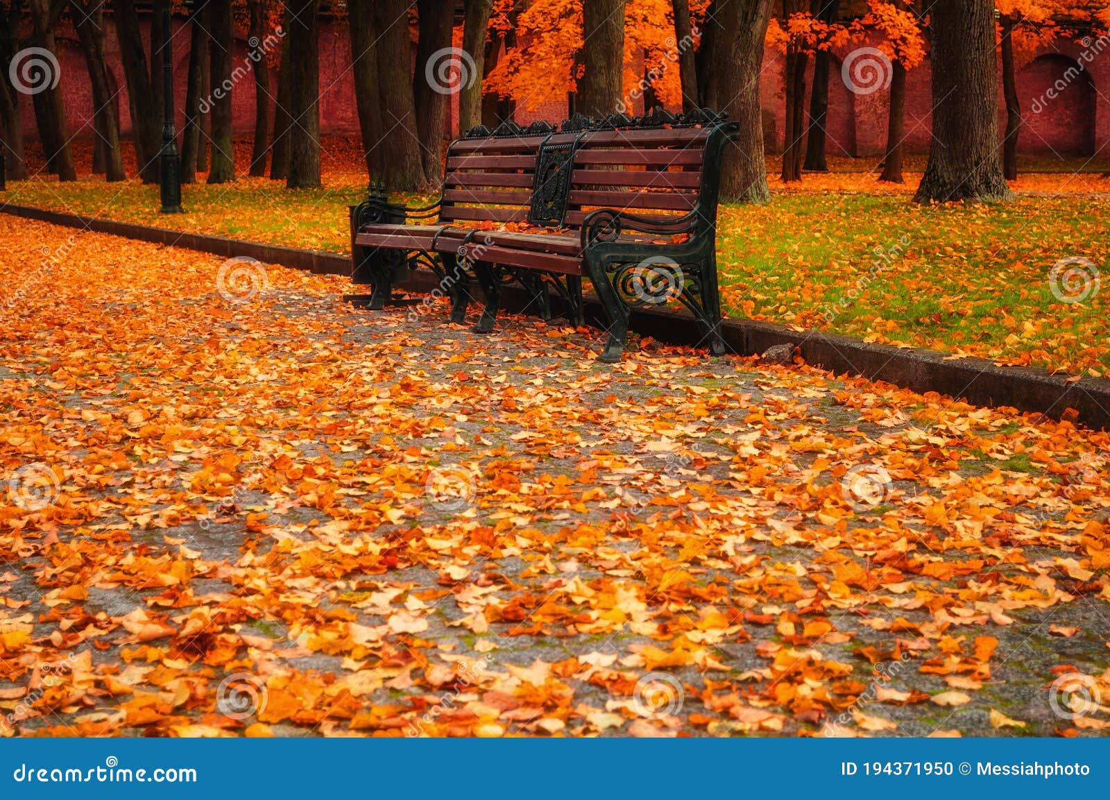 Fall Landscape. Fall in the City Park. City Park Bench in Fall Stock ...