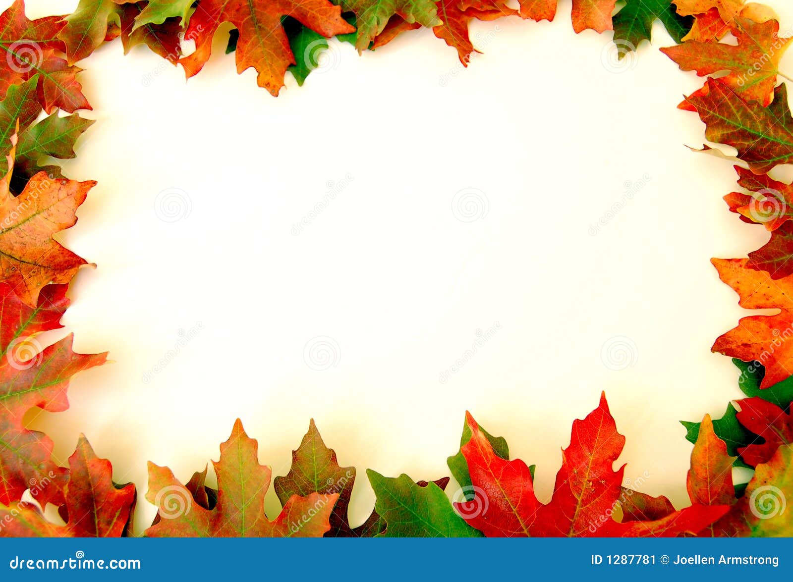 Slide Leaves Border Upon White Inventory Impression - Graphic of temperature photograph relating to Free Printable Fall Borders known as Slide Leaves Border Upon White Inventory Graphic - Impression of weather conditions