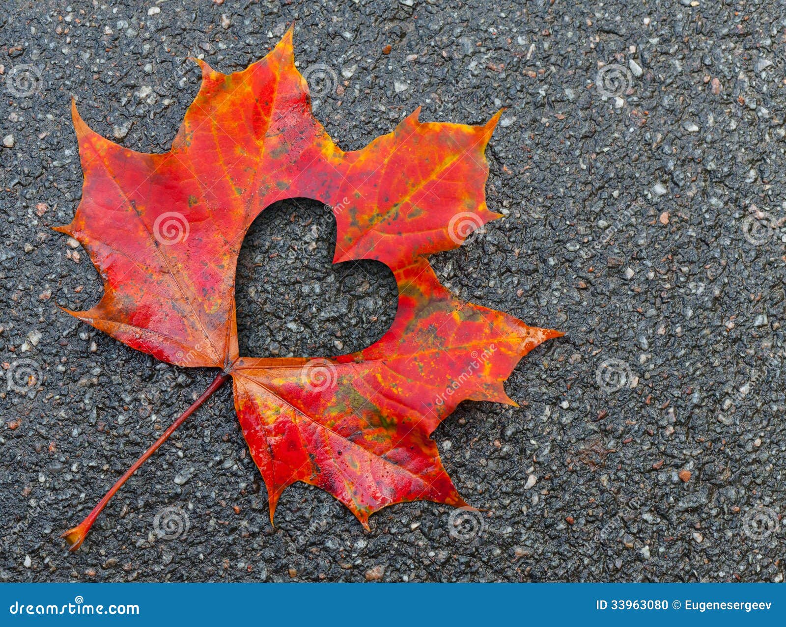 metaphor for autumn trees metaphor for autumn trees
