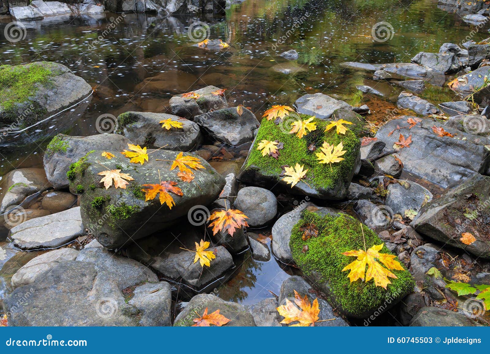 Cedar Creek Waterfalls Stock Photography 97365650