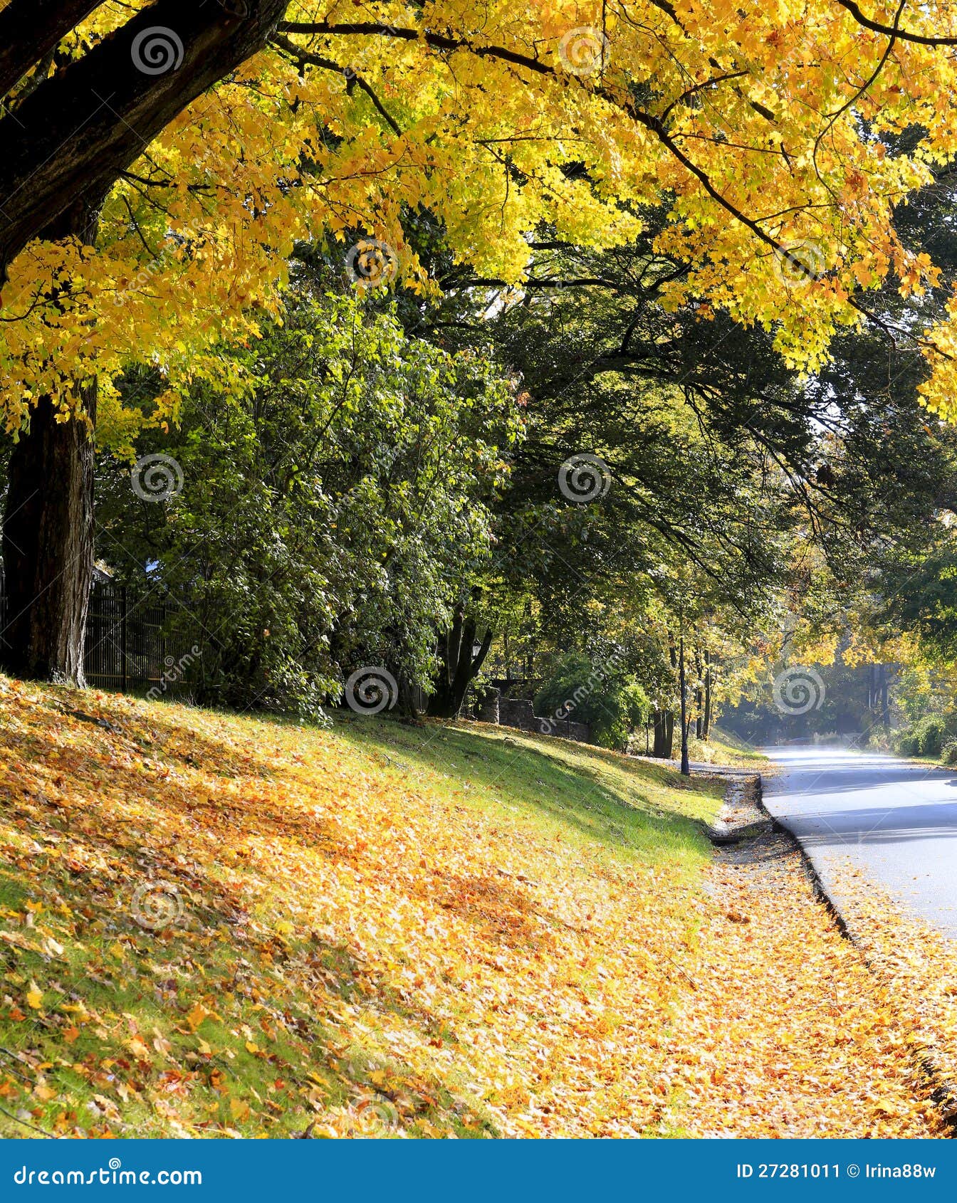 Fall Orange and Yellow Trees Near the Road Stock Image - Image of ...