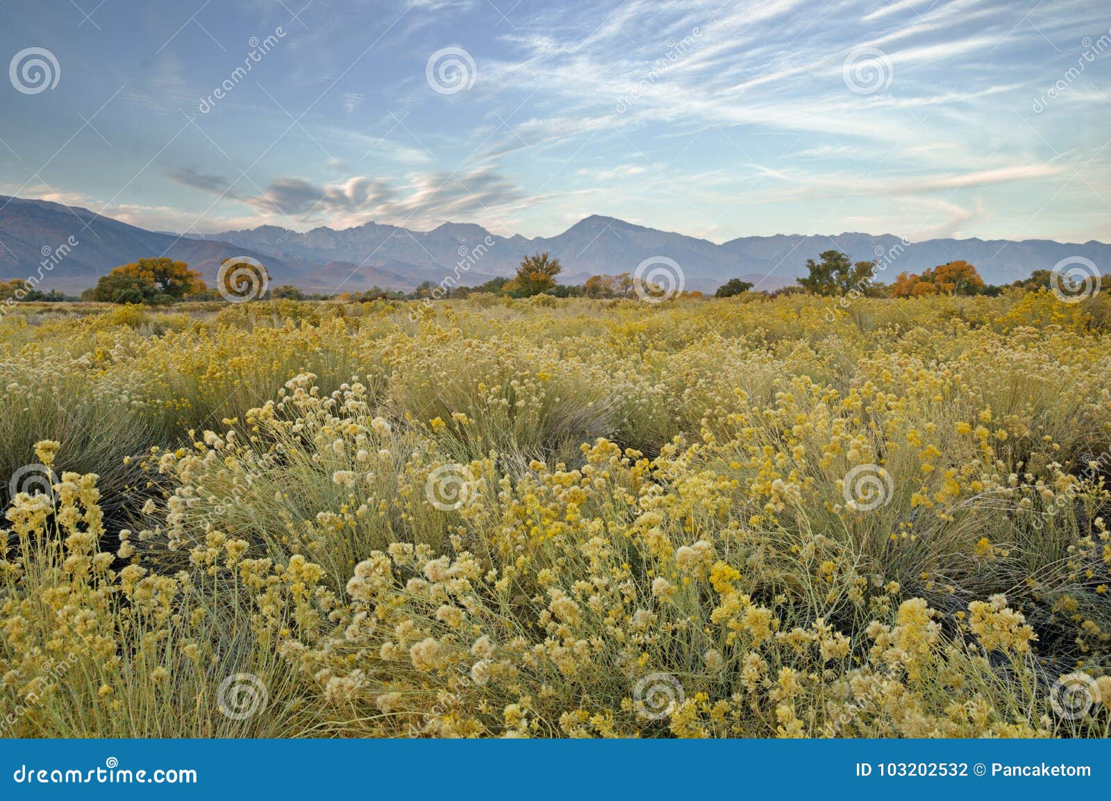 fall owens valley morning