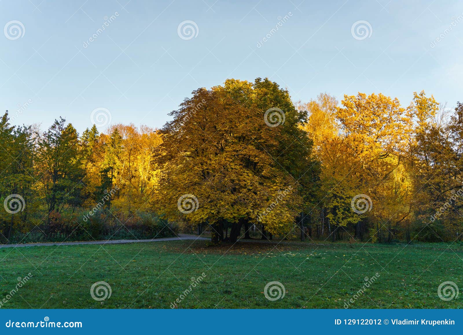 Fall in the Park stock photo. Image of grass, october - 129122012