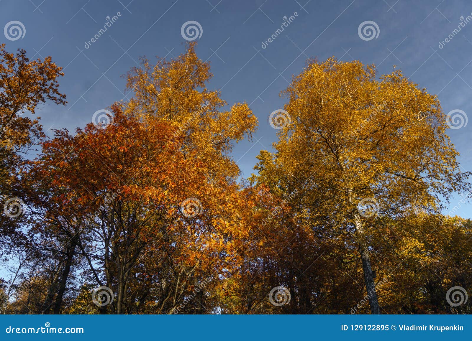 Fall in the Park stock image. Image of park, tourism - 129122895