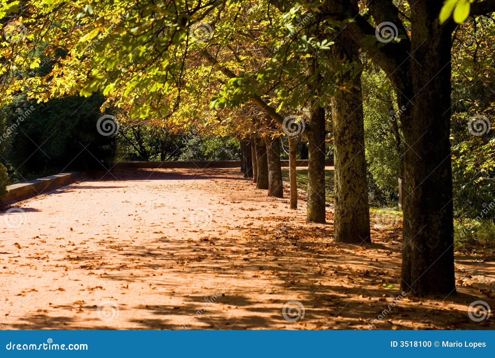 Fall in Public Park with Typical Autumn Colors Stock Photo - Image of ...