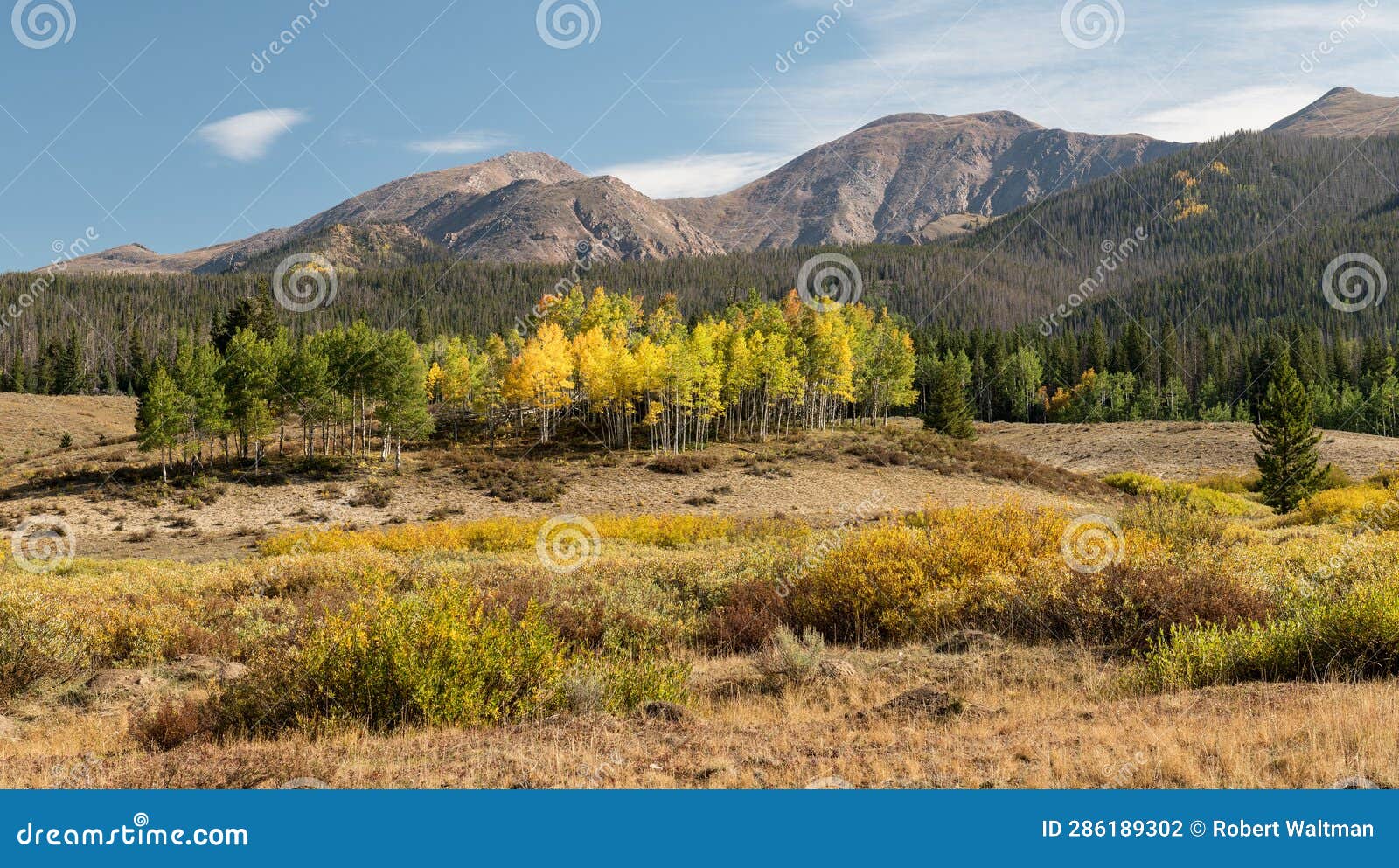 fall in the rawah mountain range of northern colorado.