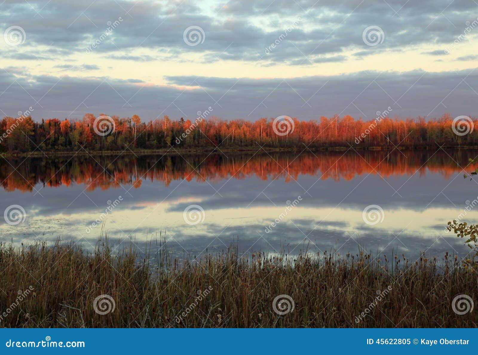 Fall Reflections at Moberg Lake Stock Image Image of field, minnesota