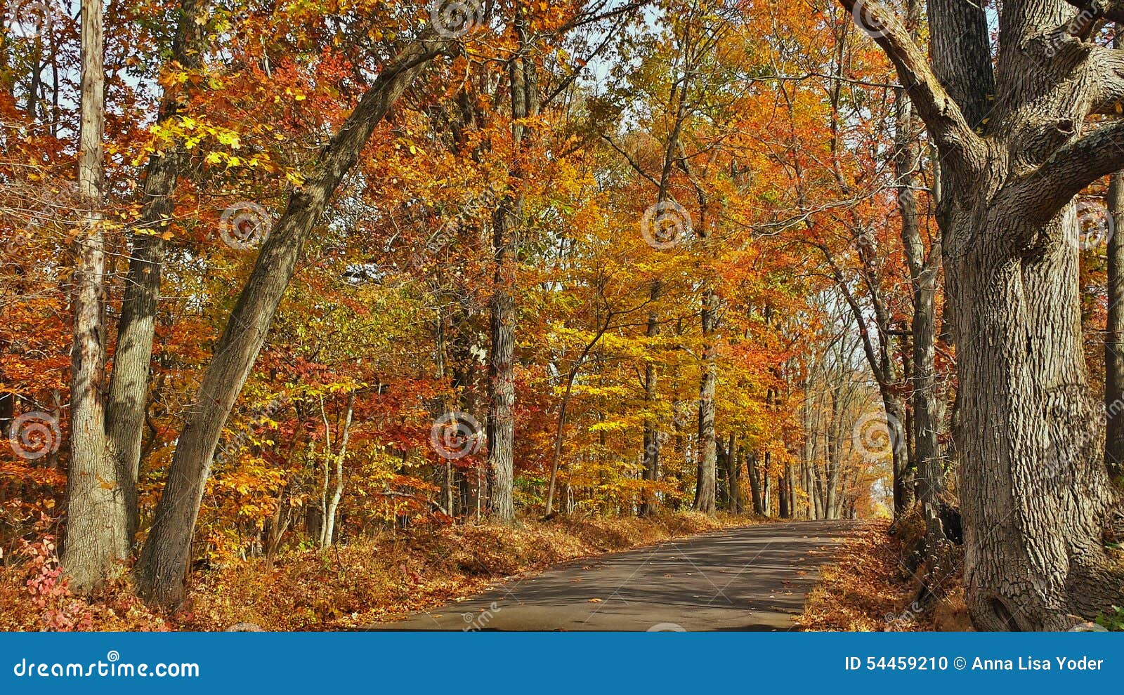fall scenic byway in bucks county, pennsylvania