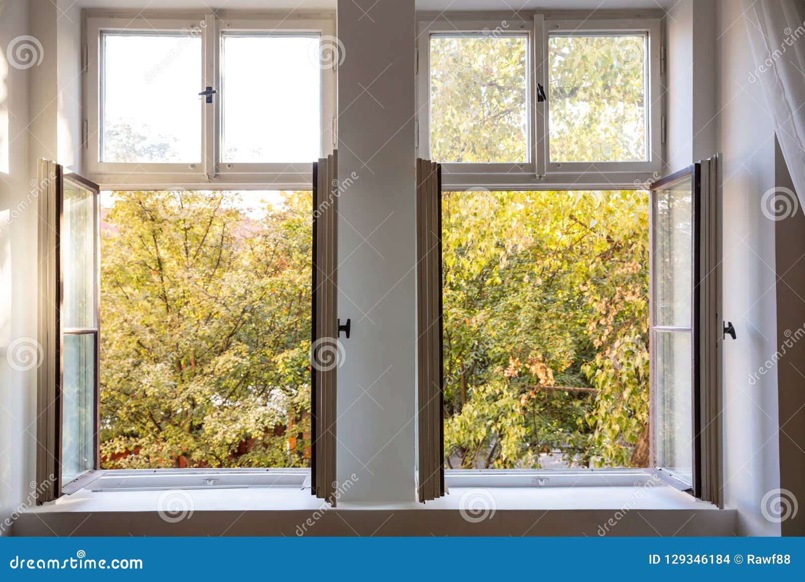 fall season. trees with autumn leaves out of two open white wooden windows.