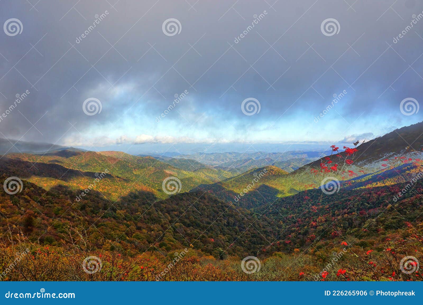 fall in the smoky mountians nc