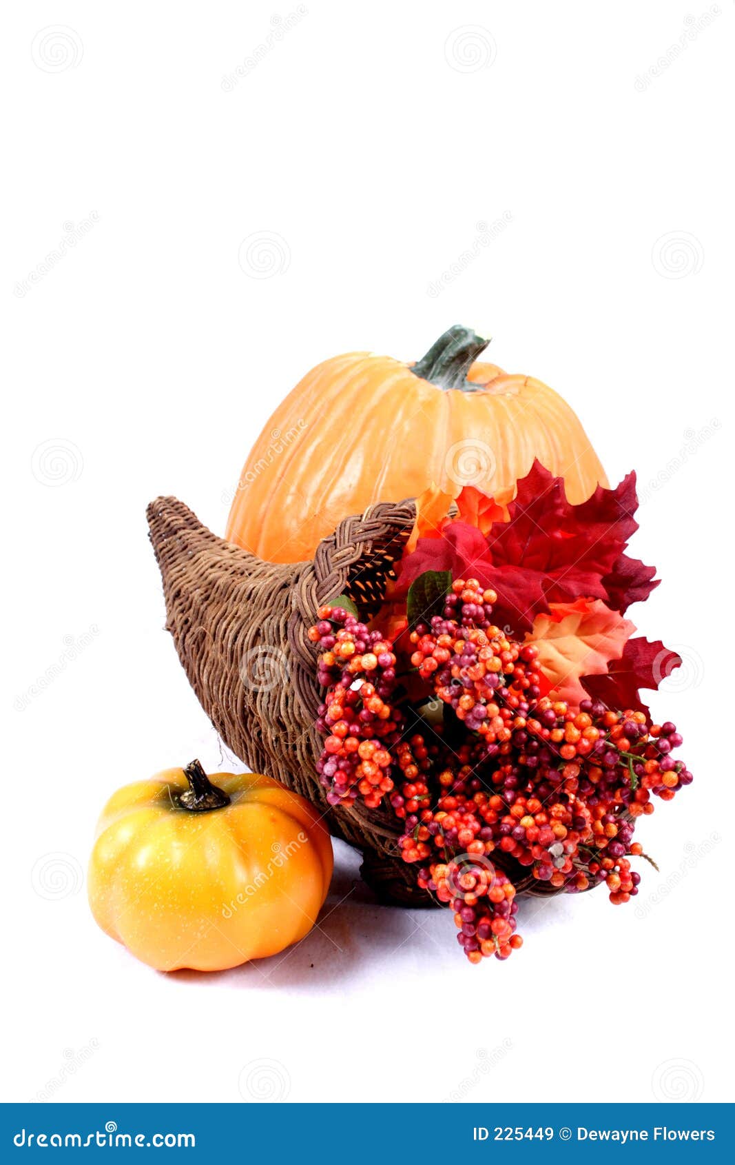 Fall - Thanksgiving Decorations Stock Image - Image of autumn, cold: 225449
