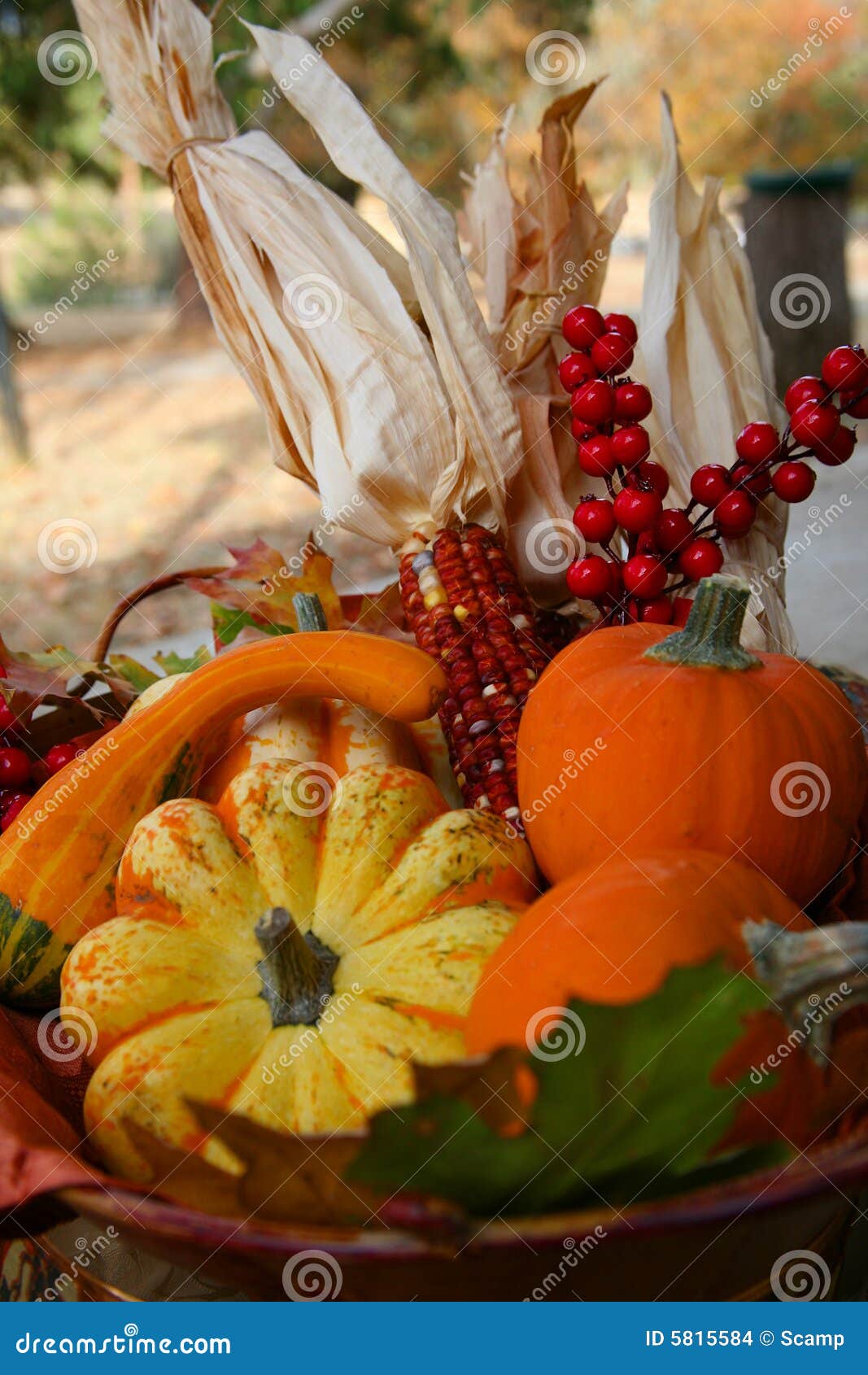 Fall Thanksgiving Harvest Basket Stock Photo - Image of bounty