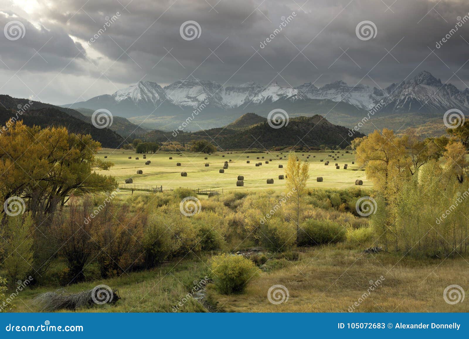 fall view of hay bales in a field with san juan mountain range of the dallas divide just outside of ridgway, colorado