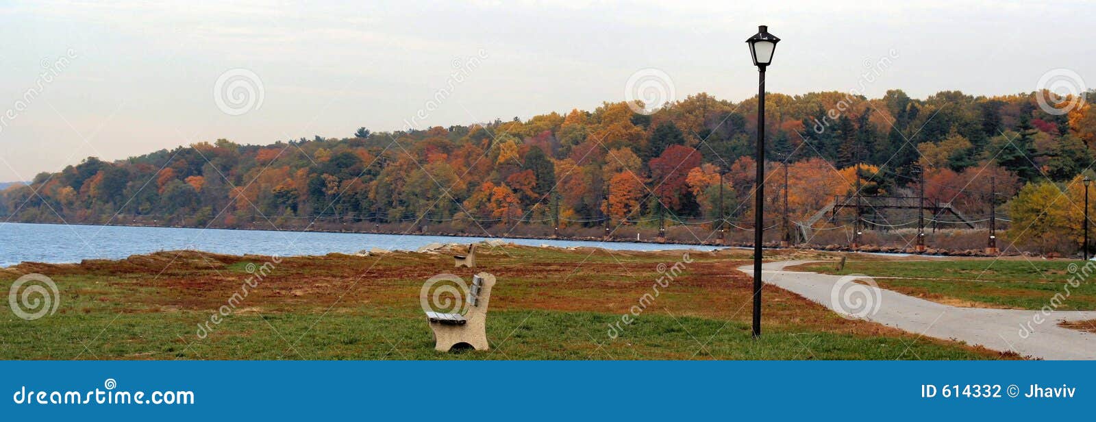Fall in westchester, NY 2 stock photo. Image of field, magenta 614332
