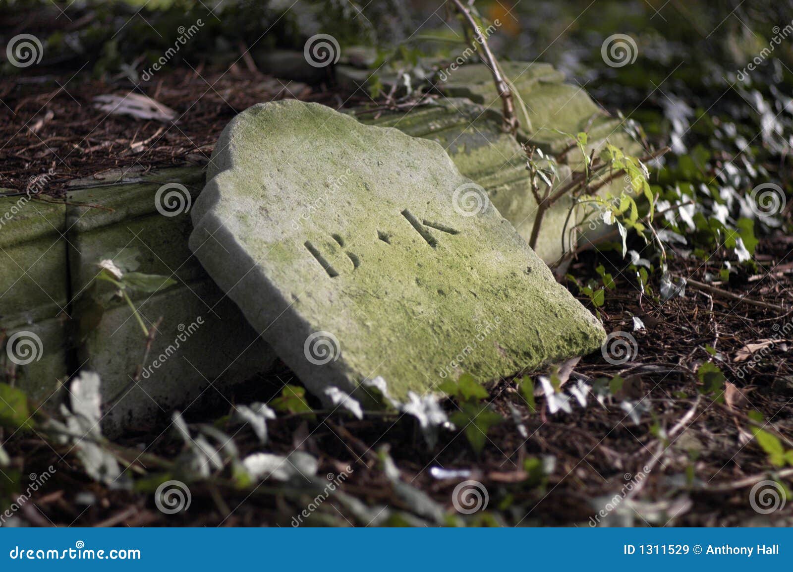 Fallen Headstone stock image. Image of funerary, ancient 1311529