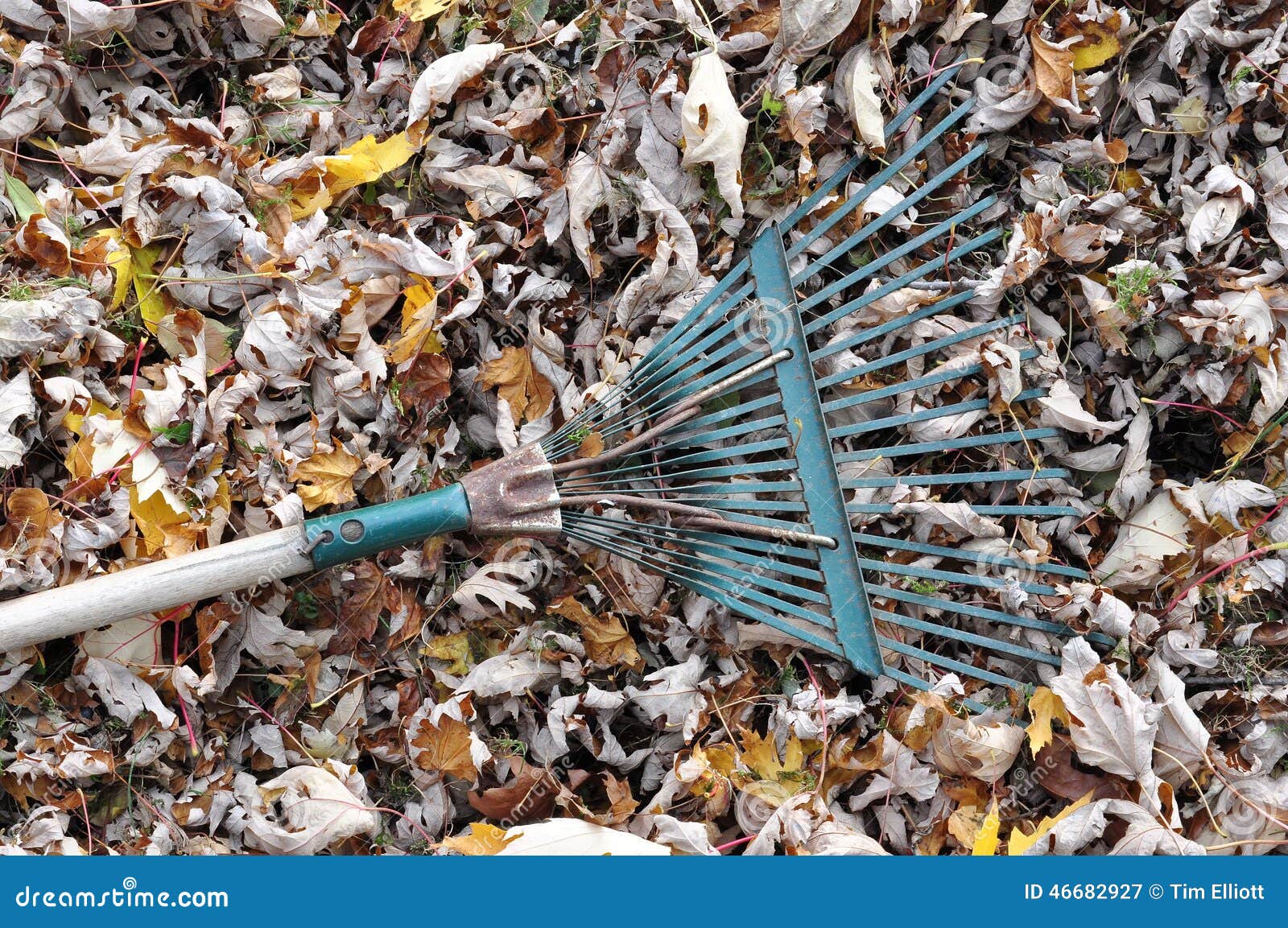 Fallen Leaves and a Garden Rake Stock Image - Image of brown, mound ...