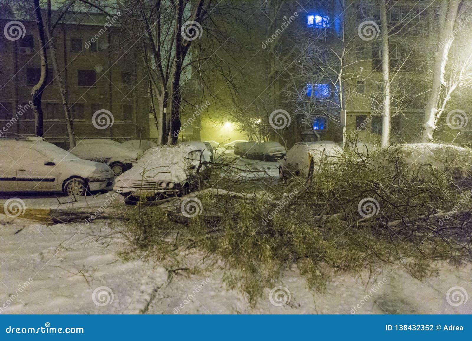 Fallen tree in a car parking because of heavy snow in Bucharest, Romania.
