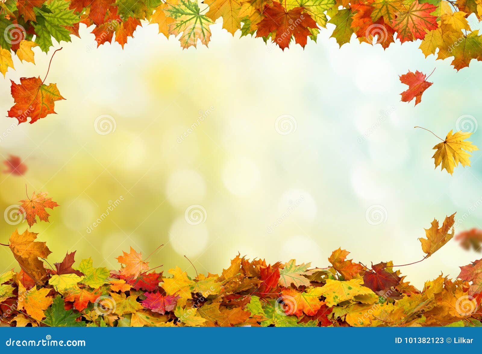 Autumn Falling Maple Leaves Background Stock Image - Image of color,  autumn: 101382123