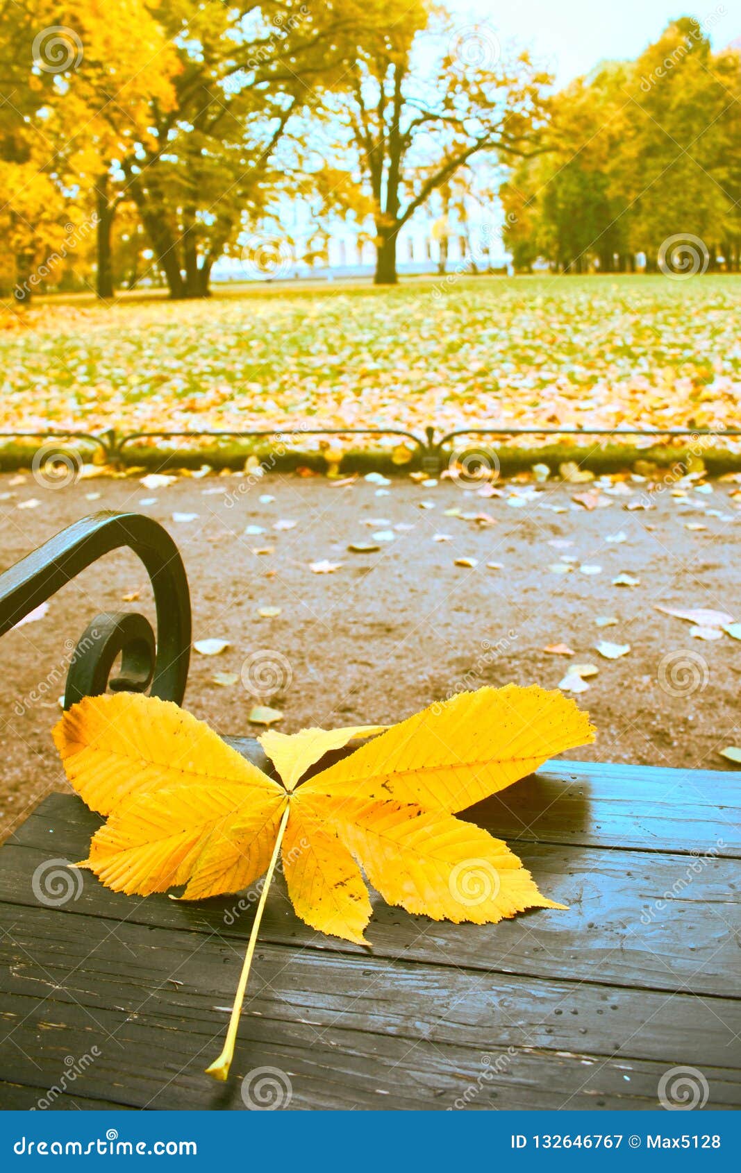 Falling Leaves. Autumn in City Park in Yellow Leaves Stock Image