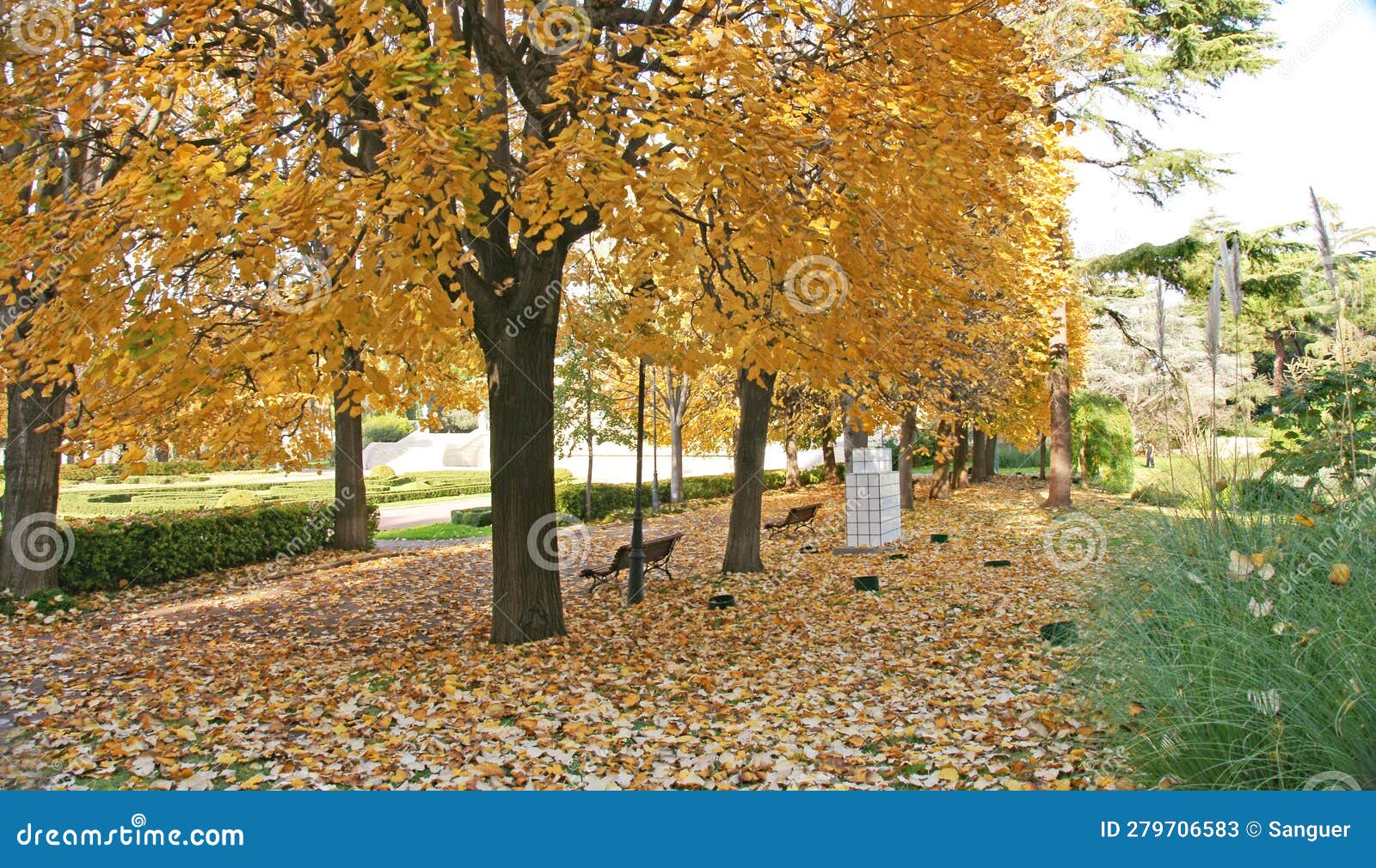 falling leaves in the gardens of the palacete de albeniz on montjuic mountain, barcelona