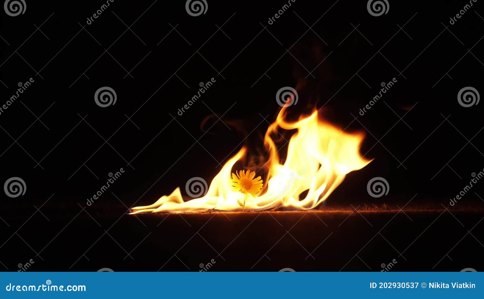 Falling of a Match in Petrol Puddle on a Gas Station. Showing a Risk of Fire Stock Video Video