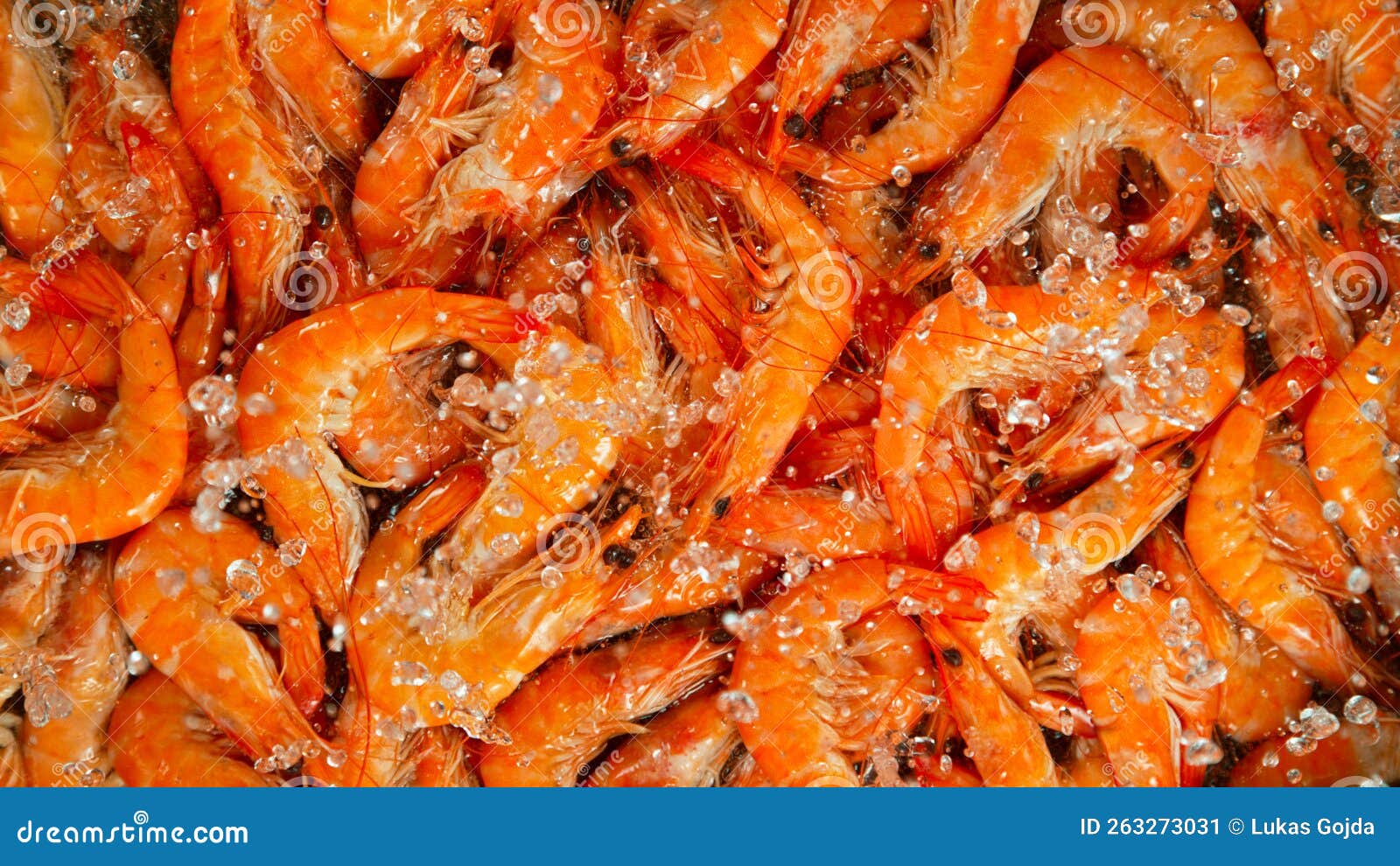 Falling Prawns into Water, Black Background Stock Image Image of