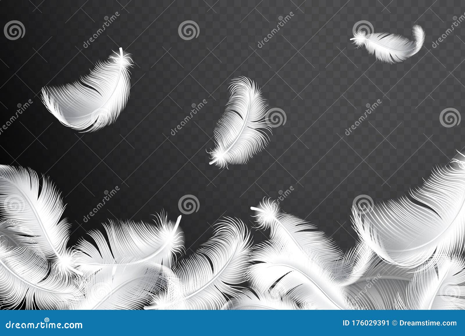 Download Falling Realistic Feathers Isolated On A Dark Background ...