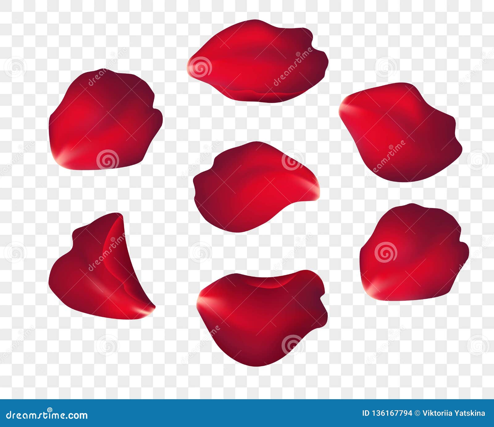 falling red rose petals  on white background.  