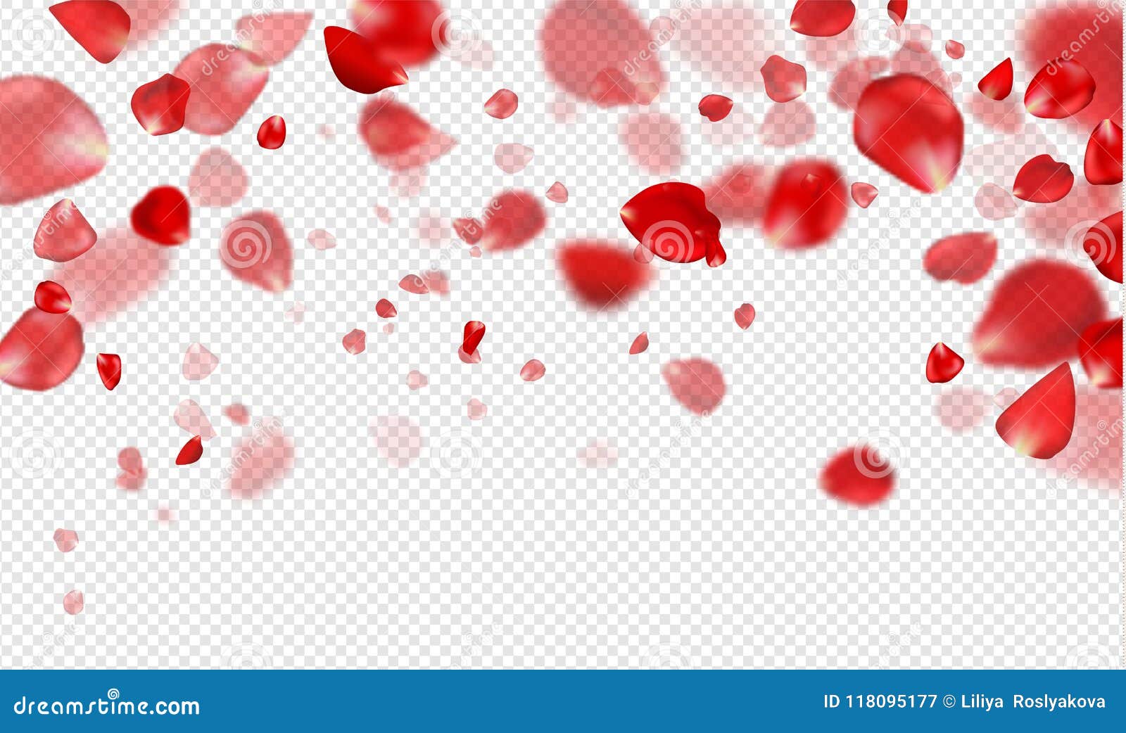 Featured image of post Transparent Red Rose Vector Single red rose on classic pattern beautiful flower graphics for your love passion valentine s day design themes or wedding invitation