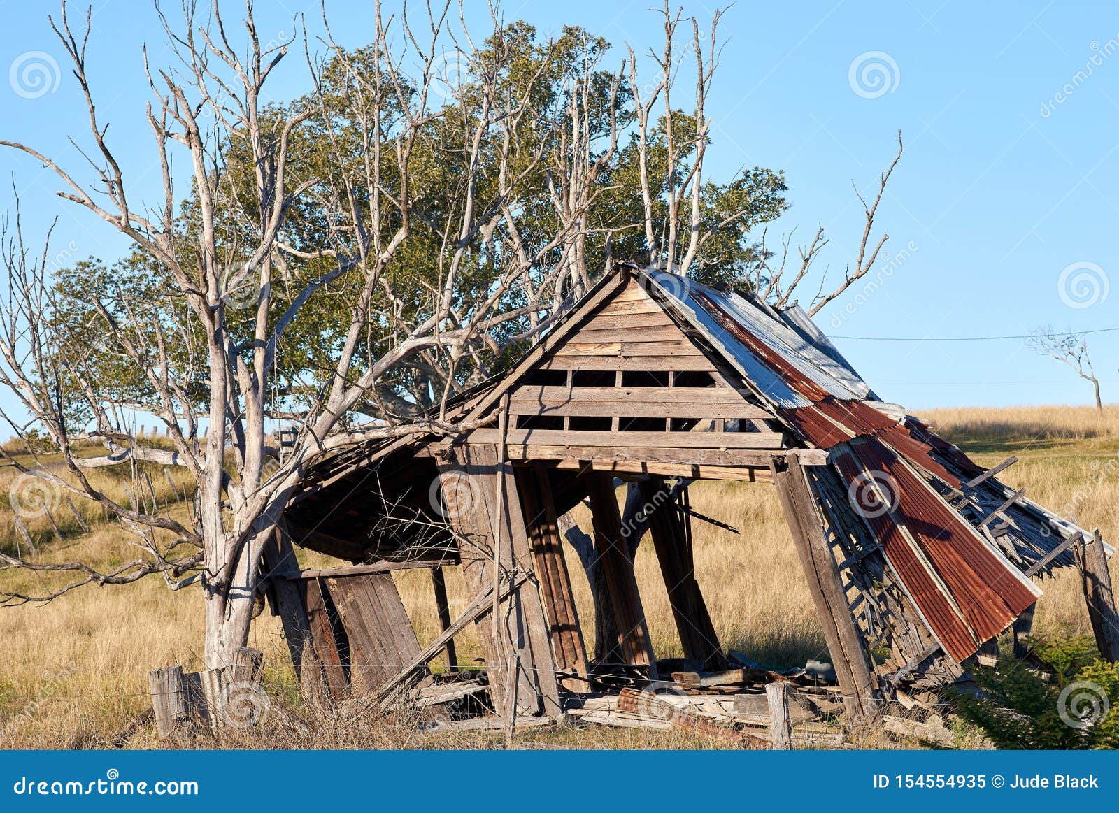 falling into ruin - an australian farm shed stock image