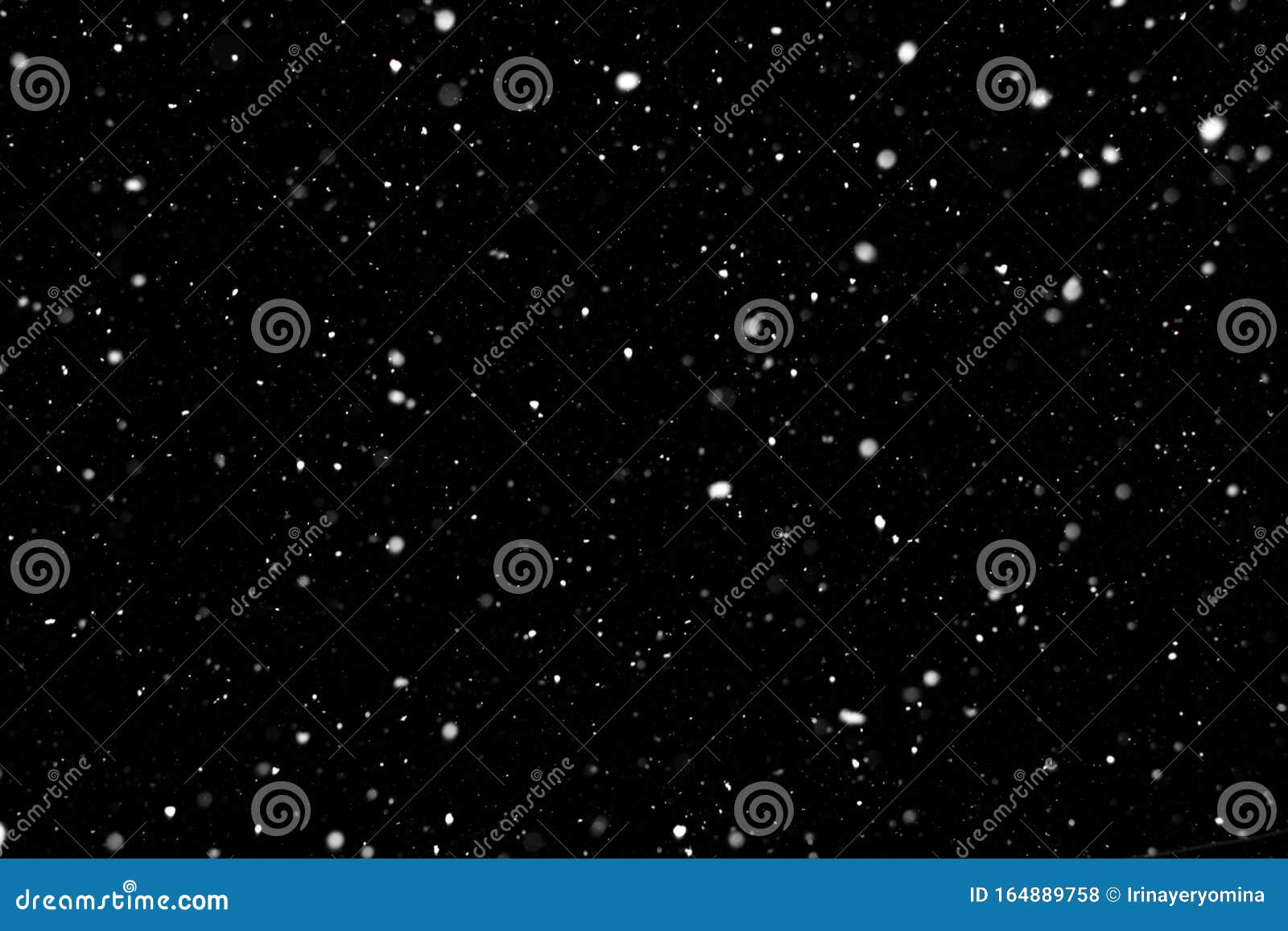 Falling Snow on Black Background. Real Blurry Snowflakes on Black