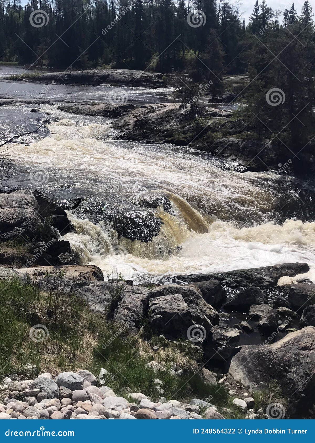 falls along wabigoon river, ontario, canada