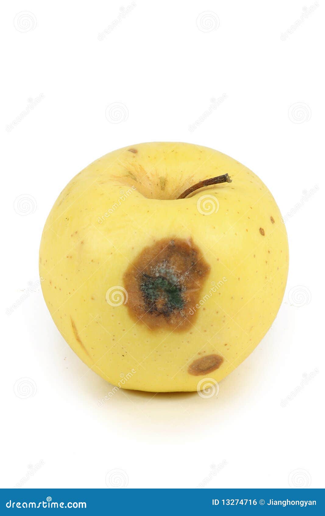 Falscher Fauler Apfel Getrennt Stockfoto Bild von nahrung, apfel