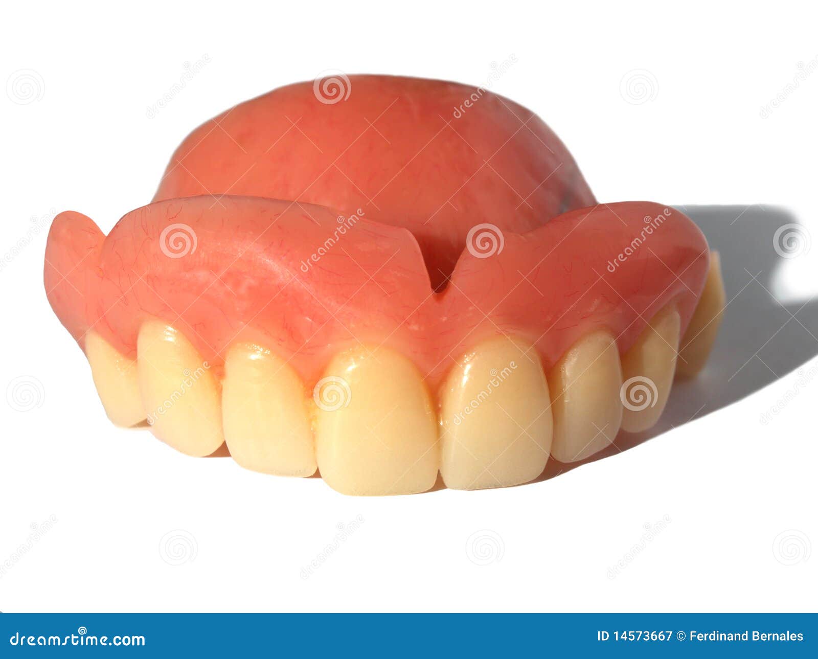 False Teeth In Glass Stock Photo 19197552