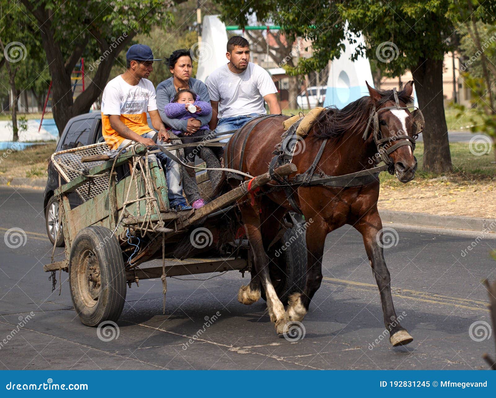 Foto de Cavalo Na Frente De O Transporte e mais fotos de stock de Animal -  Animal, Antiguidade, Carroça - iStock