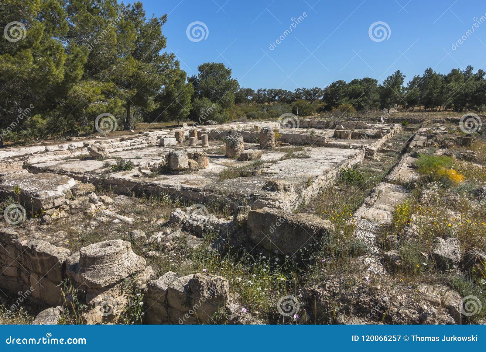 ruins of city salamis in fama , cyprus.