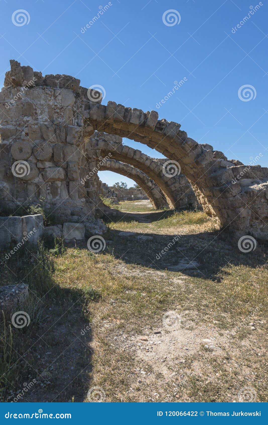 ruins of city salamis in fama , cyprus.