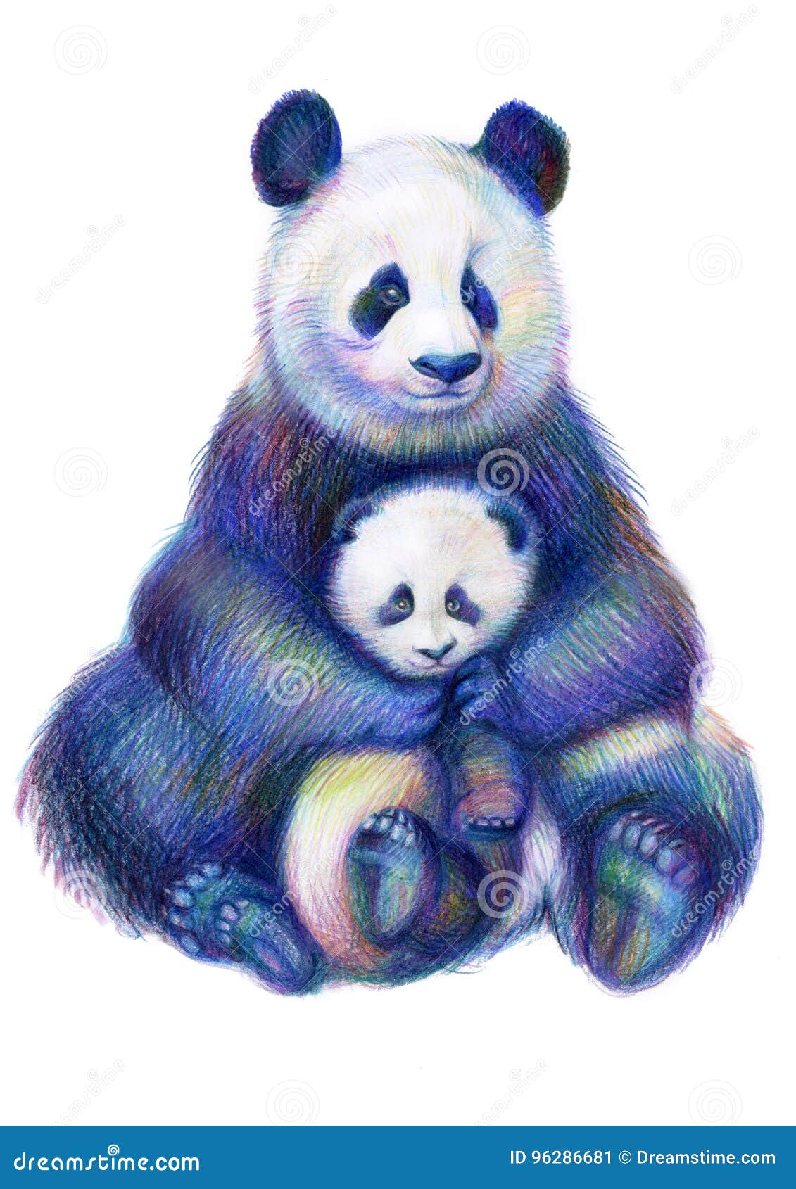 Famiglia colorata degli orsi di panda dell arcobaleno del disegno di matite