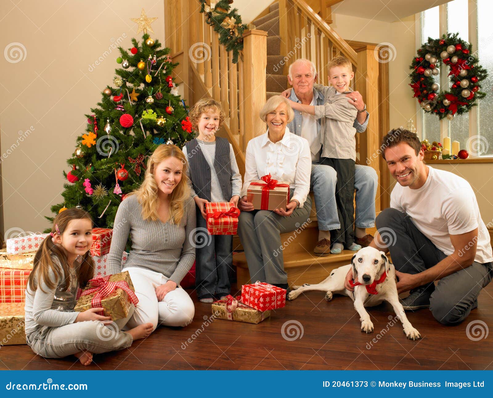 Albero Di Natale Con Foto Di Famiglia.Famiglia Con I Regali Davanti All Albero Di Natale Immagine Stock Immagine Di Ragazzo Dare 20461373