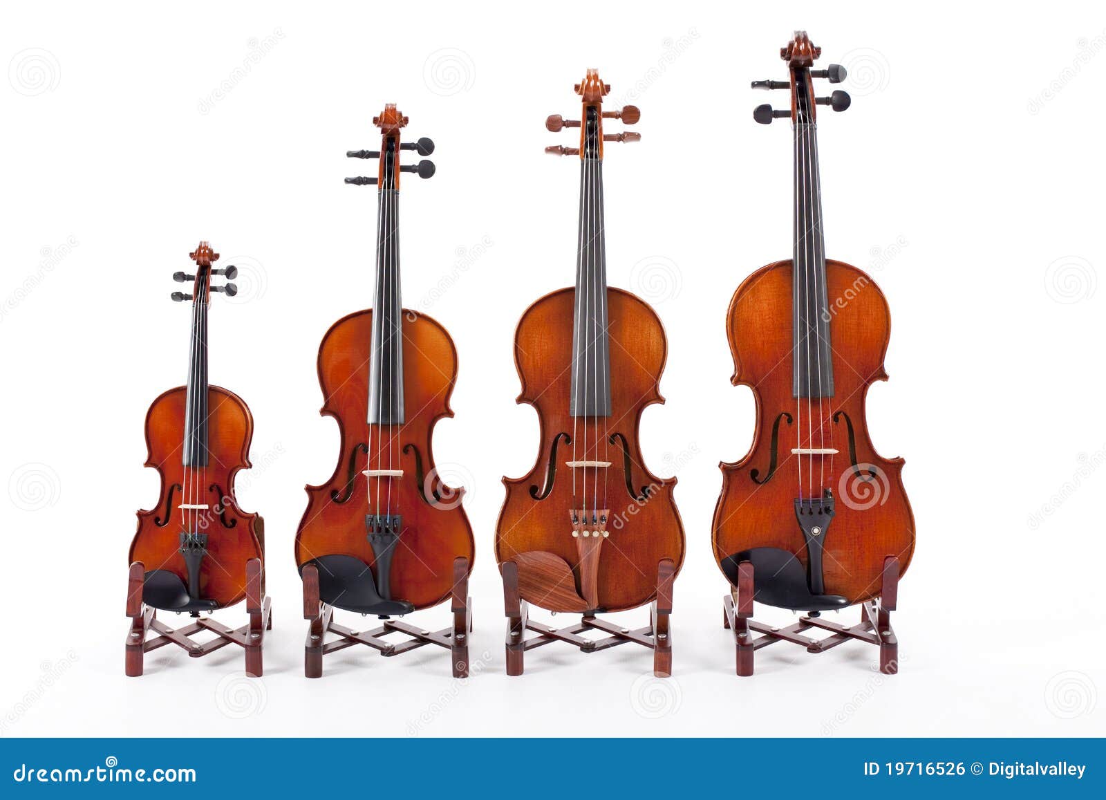 Familie der Violinen stockfoto. Bild von zeichenkette 19716526