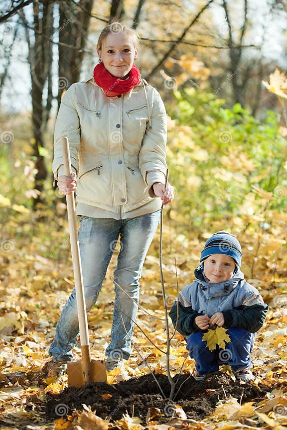 Familie, Die Baum Im Herbst Pflanzt Stockfoto Bild von kind, gärtner
