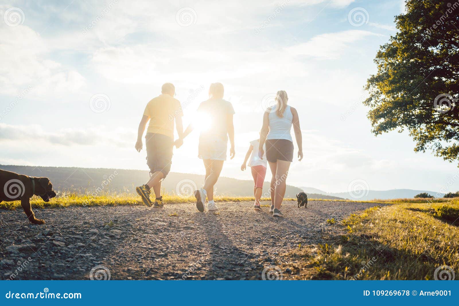 Family and Dog Walking Home Stock Photo Image of rural, happiness