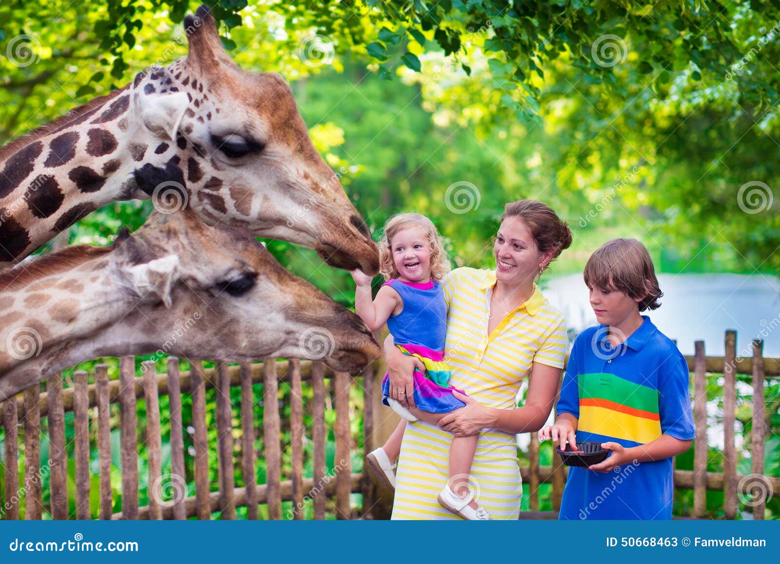 family feeding giraffe in a zoo