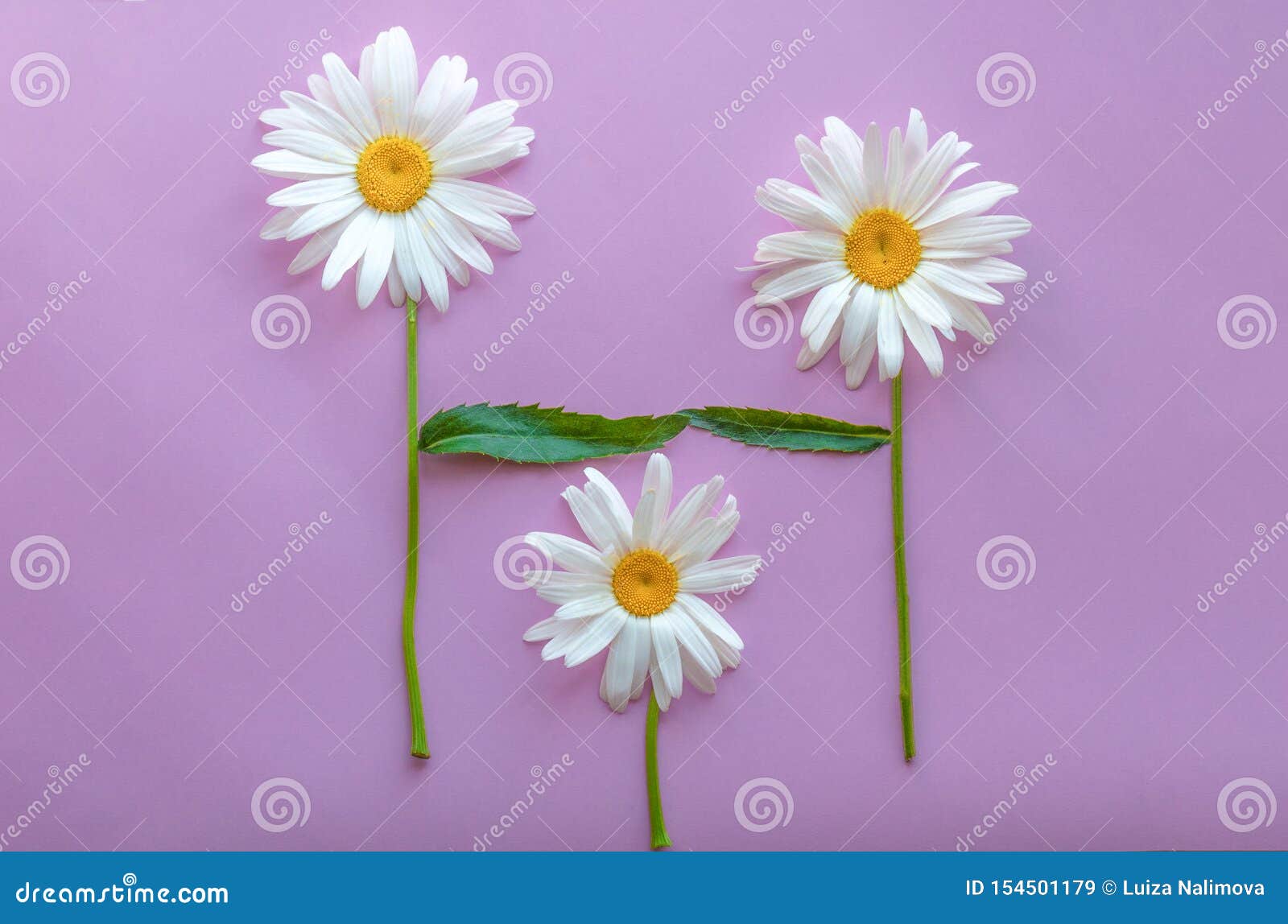 A Family of Flowers - Dad, Mom and Children. Parents and Child picture