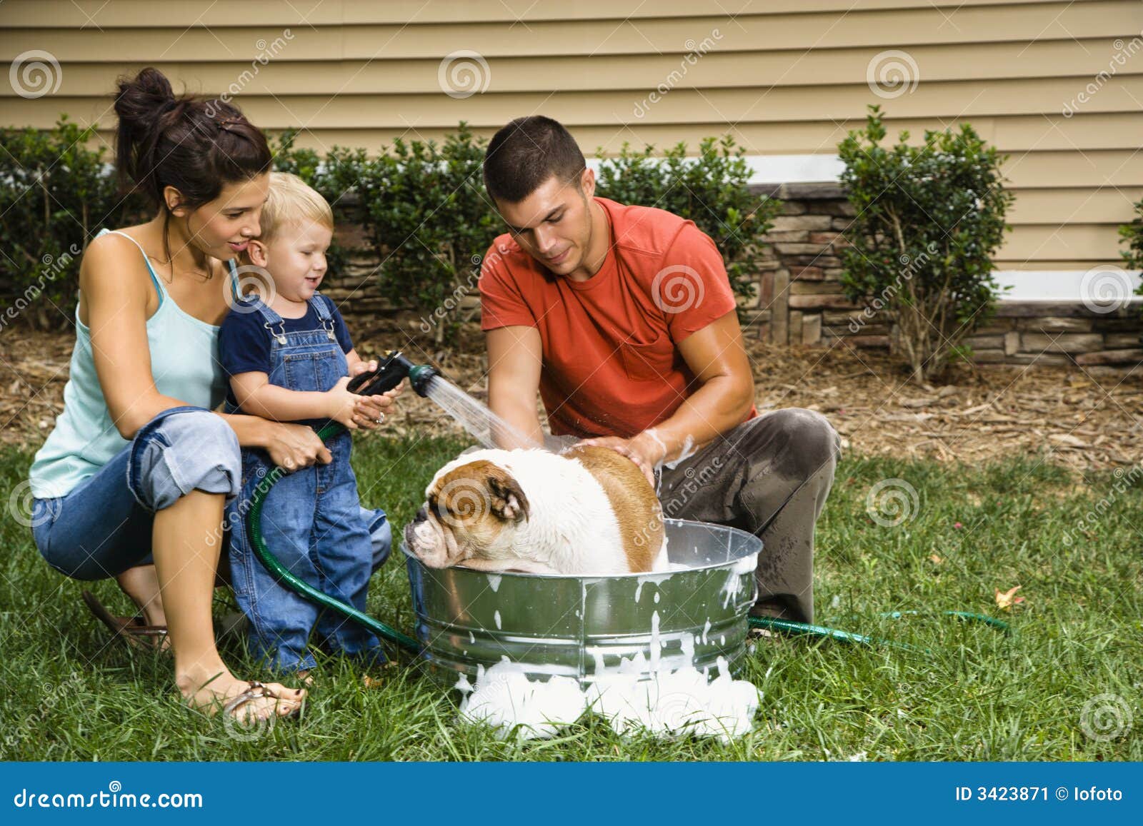 Family giving dog a bath. stock image. Image of animal 3423871