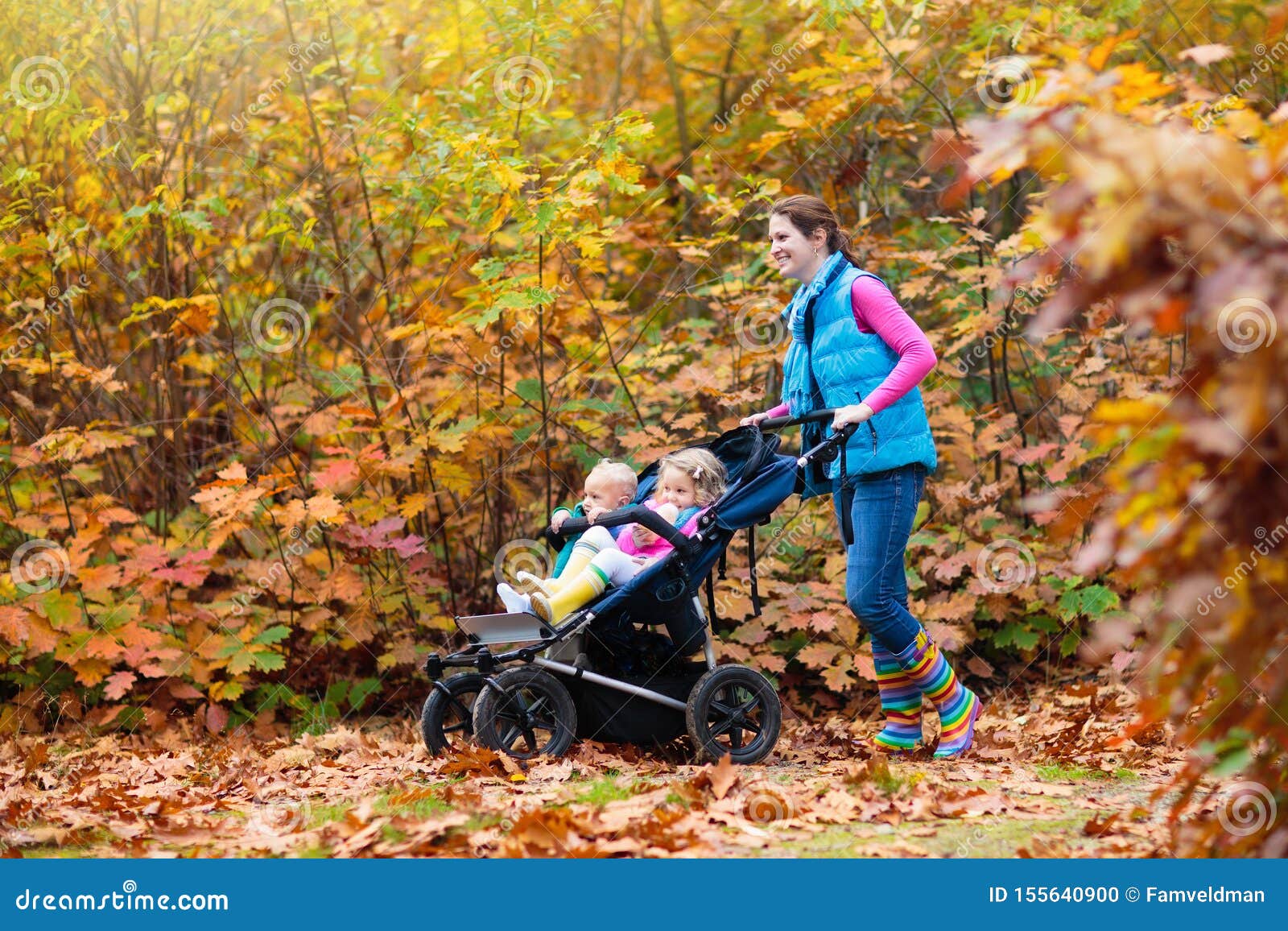 hiking buggy