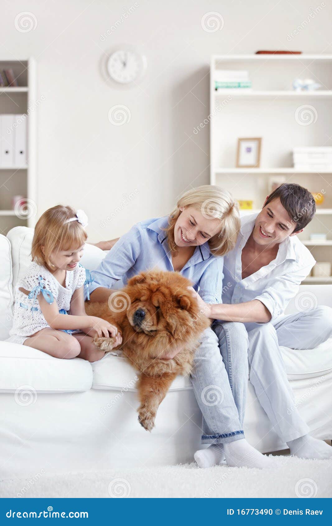 Family and household pet stock photo. Image of room, indoors 16773490